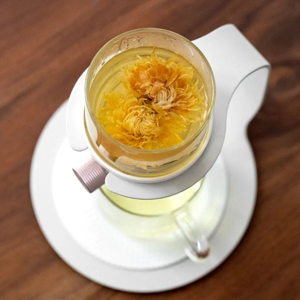 Glass tea brewing system with stable base