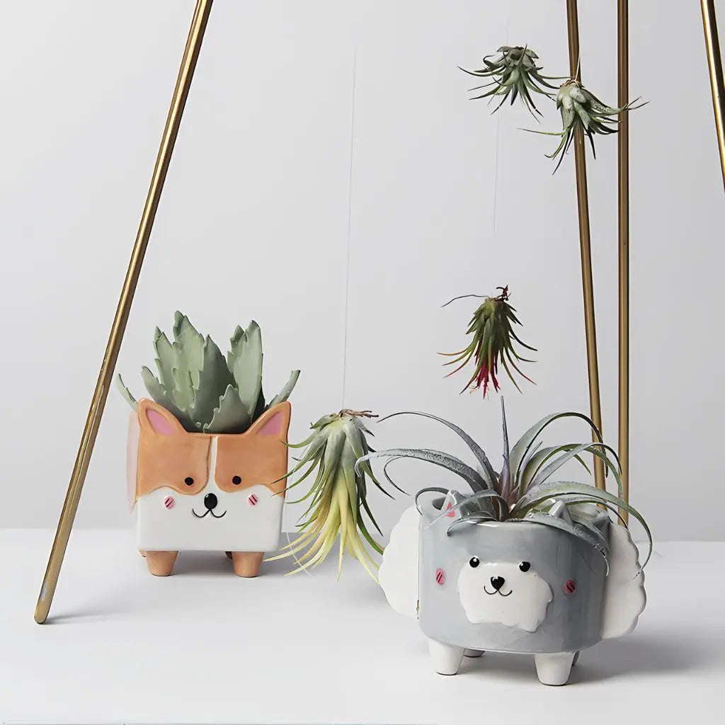 Small ceramic plant pot with cute corgi and lamb cartoon faces perfect for succulents and air plants