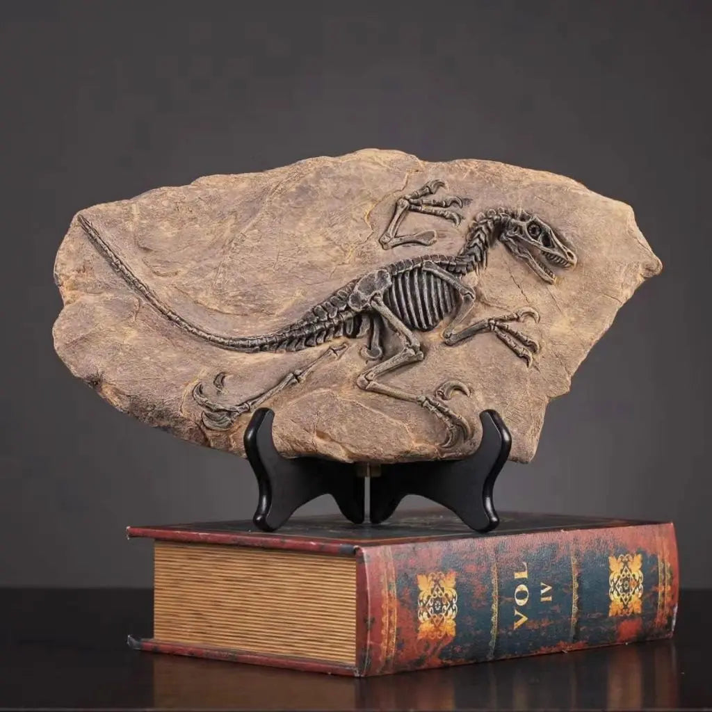 Dinosaur fossil on a stand with an old book underneath against a dark background