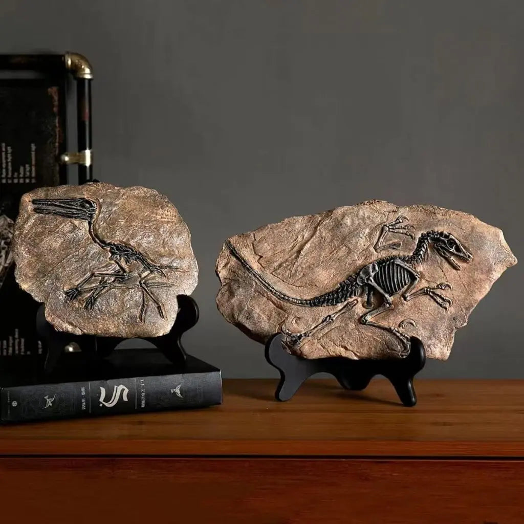 Two dinosaur fossils on stands with books in the background - home decor figurine