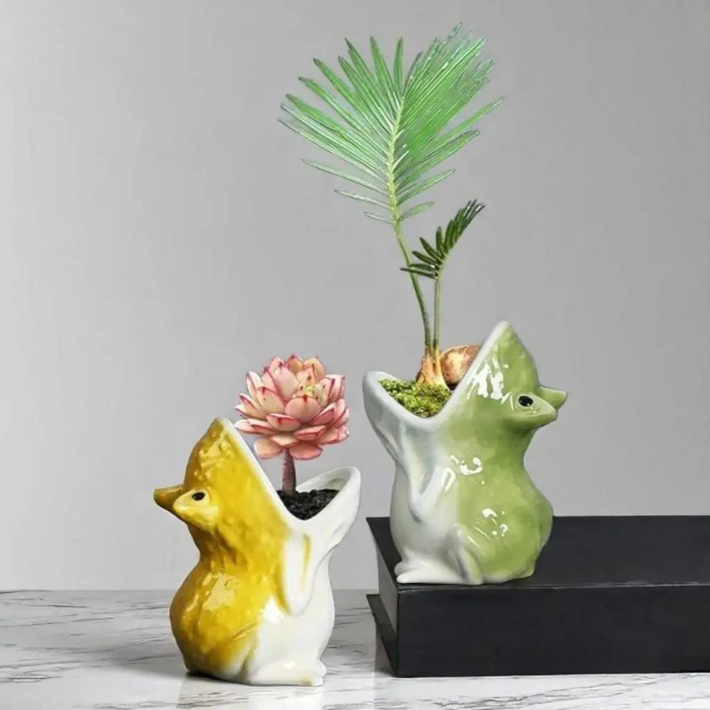 small decorative pot for indoor plants and home garden decor