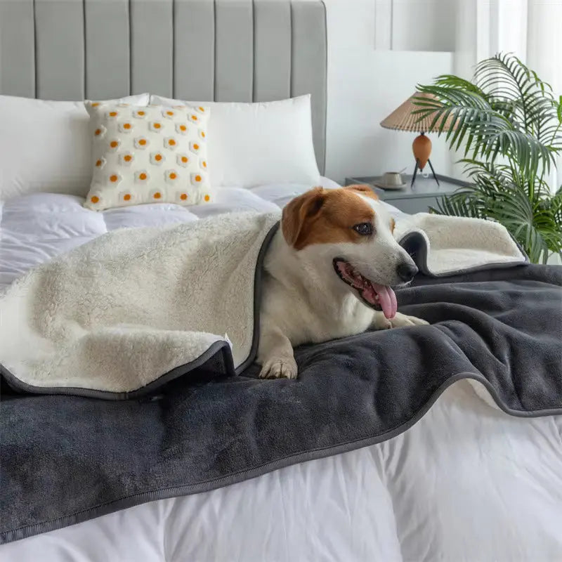 PawCuddle™ - Waterproof Pet Blanket Inovessa