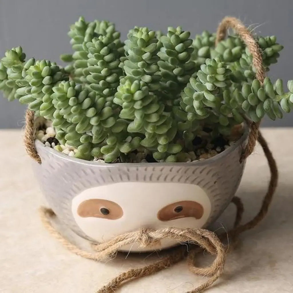 Sloth ceramic hanging pot planter - decorative indoor succulent container with rope hanger
