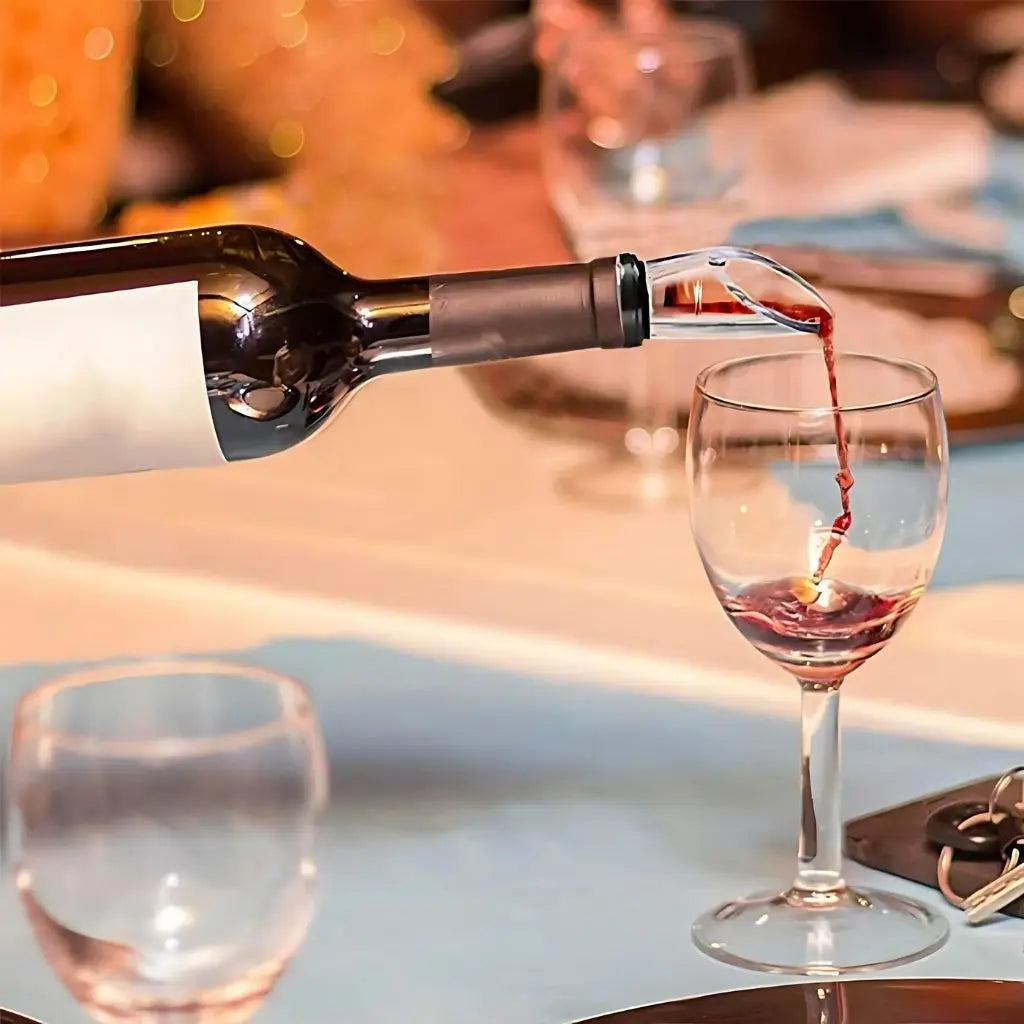 Wine chiller gift set in elegant packaging perfect for wine enthusiasts and entertaining hosts