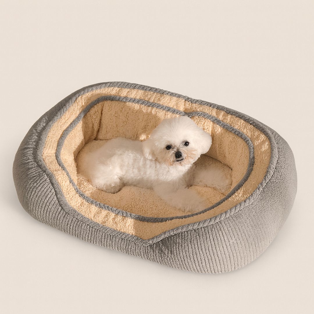 Round cozy dog bed with raised sides creating secure nest for small breed dogs