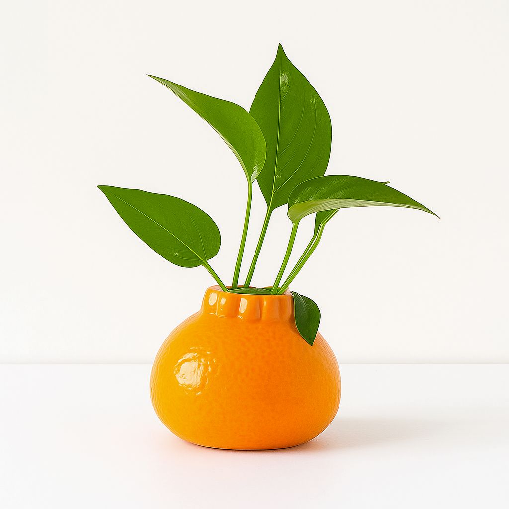 Cobb Citrus Burst Planter