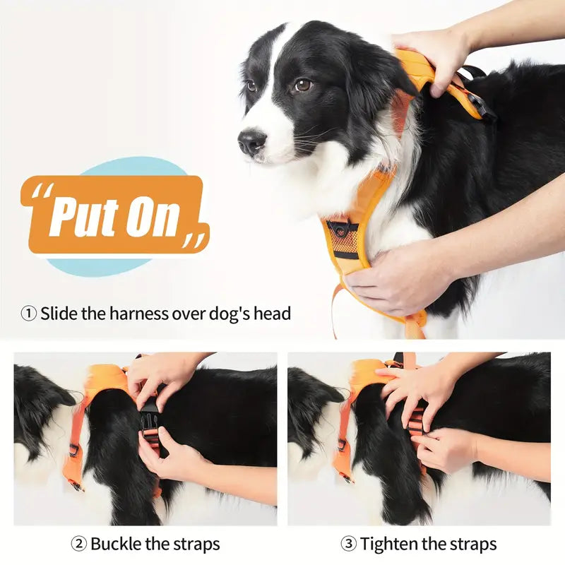 FlexiLead™ - Pet Harness With Retractable Leash