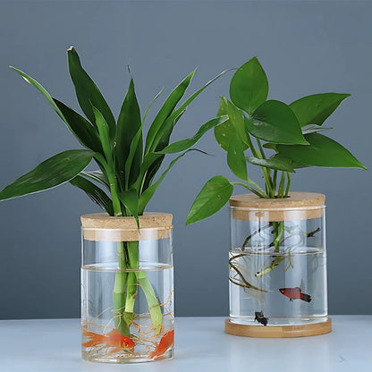 Modern hydroponic glass planter showcasing water rooting station ideal for desktop and windowsill display