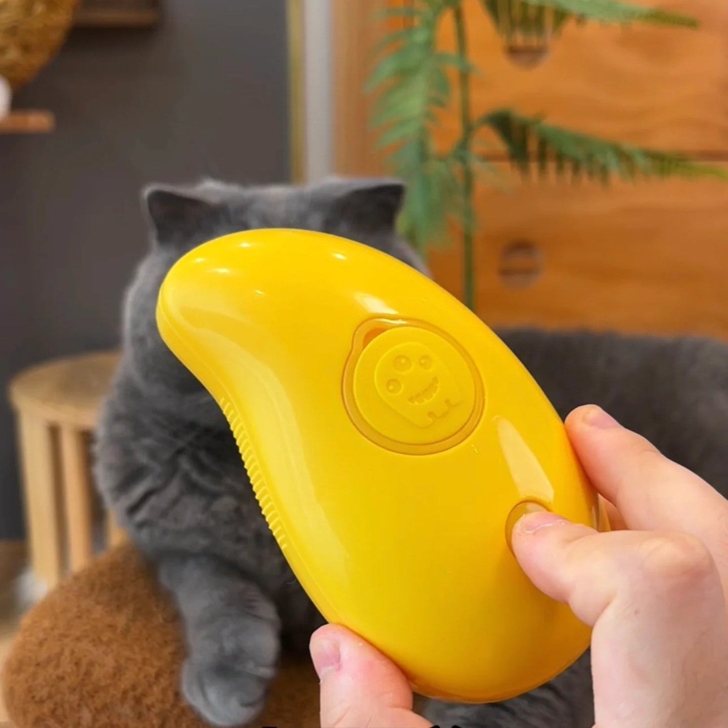 PetSpa™ - Steamy Grooming Brush