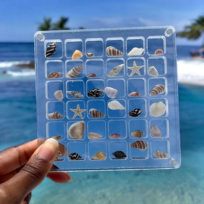 ShellCase™ - Acrylic Magnetic Seashell Display Box