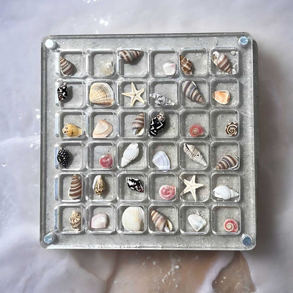 ShellCase™ - Acrylic Magnetic Seashell Display Box