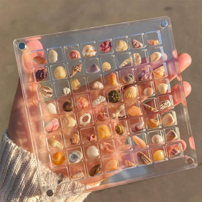 ShellCase™ - Acrylic Magnetic Seashell Display Box