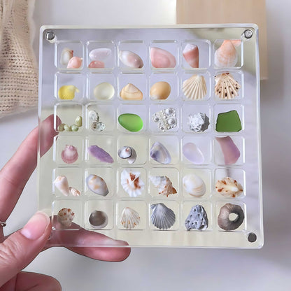 ShellCase™ - Acrylic Magnetic Seashell Display Box