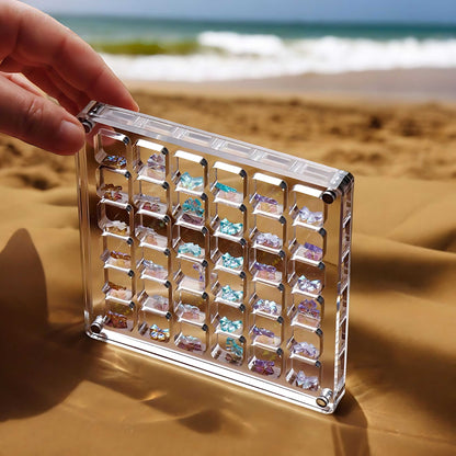 ShellCase™ - Acrylic Magnetic Seashell Display Box