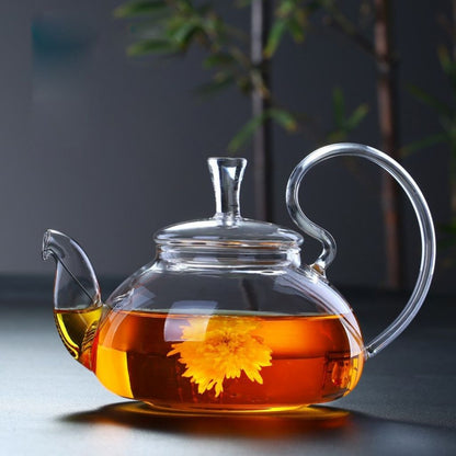 Heat resistant borosilicate teapot with rounded body and balanced curved handle